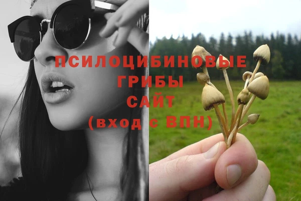 молекула духа Горняк