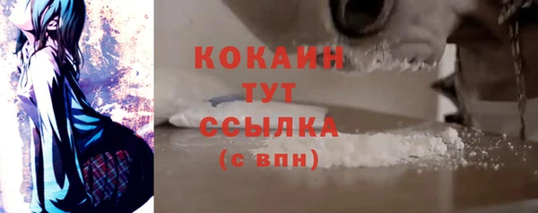 СК Горнозаводск
